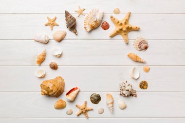 Renkli arka planda yaz zamanı konsepti. Çerçeve şeklinde deniz kabukları metin üstü görünümü için boşluk ile ayrılmış.