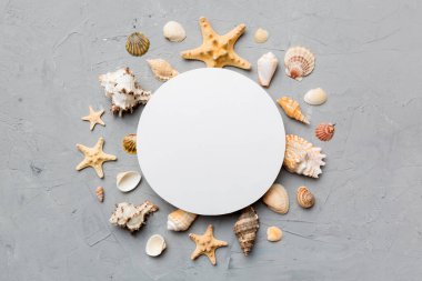 Yaz mevsimi konsepti, boş tebrik kartı ve renkli arkaplan üzerine boş beyaz kağıt. Çerçeve şeklinde deniz kabukları metin üstü görünümü için boşluk ile ayrılmış.