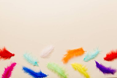 Renkli arka planda parlak renkli kuş tüylerinin arka planı, üst görünüm. Boşluğu kopyala.