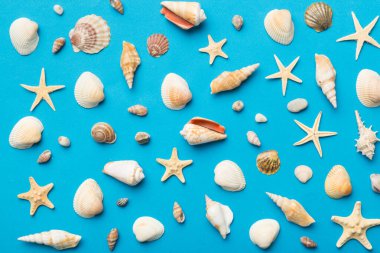 Yaz mevsimi konsepti deniz yıldızları ve deniz kabukları ile bezenmiş düz bir kompozisyon, renkli masa, üst görünüm.