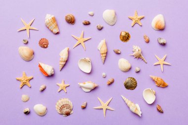 Yaz mevsimi konsepti deniz yıldızları ve deniz kabukları ile bezenmiş düz bir kompozisyon, renkli masa, üst görünüm.