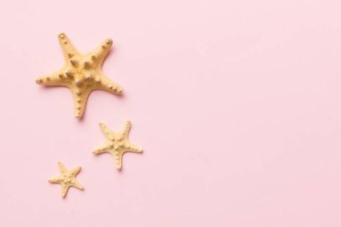 Yaz zamanı konsepti düz kompozisyon ile güzel deniz yıldızları ve deniz kabukları renkli tablo üzerinde yatıyordu, metin için metin alanı ile üst görünüm.