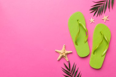 Renkli arka planda parmak arası terlikleri ve deniz kabuğu olan düz bir kompozisyon. Metin üstü görünümü için boşluk.