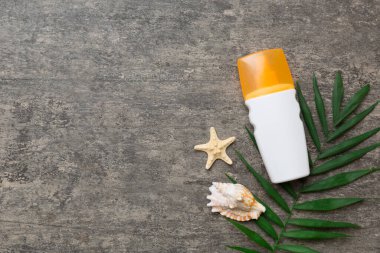 Güneş kremi şişesi. Güneş korumalı krem ve tropik yeşil yapraklı deniz kabukları olan bir şişe..