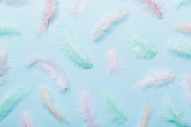 Parlak renkli tüylerin arka planına yaklaş. Renkli tüy arkaplanı, üst görünüm.