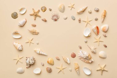 Yaz zamanı konsepti düz kompozisyon ile güzel deniz yıldızları ve deniz kabukları renkli tablo üzerinde yatıyordu, metin için metin alanı ile üst görünüm.