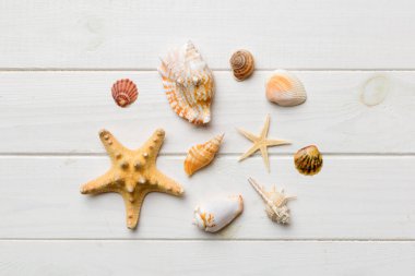Yaz mevsimi konsepti deniz yıldızları ve deniz kabukları ile bezenmiş düz bir kompozisyon, renkli masa, üst görünüm.