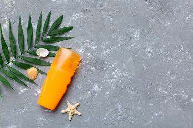Güneş kremi şişesi. Güneş korumalı krem ve tropik yeşil yapraklı deniz kabukları olan bir şişe..
