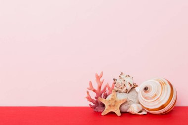 Renkli arka planda plaj deniz kabukları. Kopyalama alanı kullan.