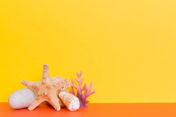 Beach seashells on colored background. Mock up with copy space.