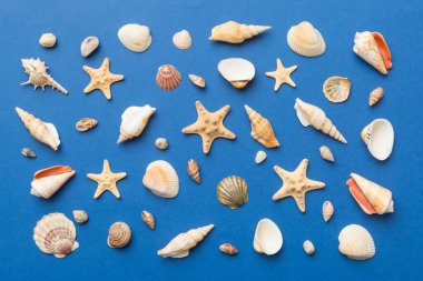 Yaz mevsimi konsepti deniz yıldızları ve deniz kabukları ile bezenmiş düz bir kompozisyon, renkli masa, üst görünüm.