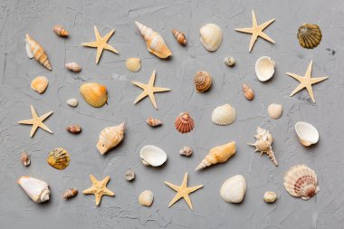 Yaz mevsimi konsepti deniz yıldızları ve deniz kabukları ile bezenmiş düz bir kompozisyon, renkli masa, üst görünüm.