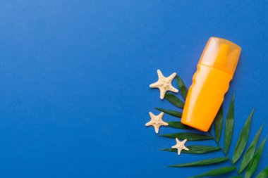 Güneş kremi şişesi. Güneş korumalı krem ve tropik yeşil yapraklı deniz kabukları olan bir şişe..