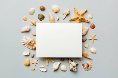 Yaz mevsimi konsepti, boş tebrik kartı ve renkli arkaplan üzerine boş beyaz kağıt. Çerçeve şeklinde deniz kabukları metin üstü görünümü için boşluk ile ayrılmış.