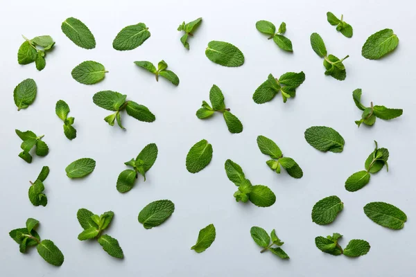 Hojas Menta Verde Fresca Sobre Fondo Blanco Patrón Hojas Menta — Foto de Stock