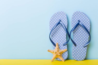 Plaj aksesuarları. Renkli arka planda parmak arası terlik ve denizyıldızı. Kopyalama alanı kullan.
