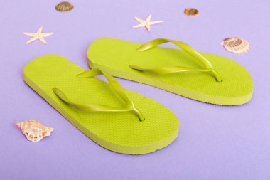 Plaj aksesuarları. Renkli arka planda parmak arası terlik ve denizyıldızı. Üst görünüm Kopyalama alanı ile modelle.