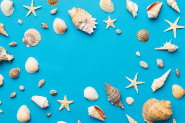 Yaz mevsimi konsepti deniz yıldızları ve deniz kabukları ile bezenmiş düz bir kompozisyon, renkli masa, üst görünüm.