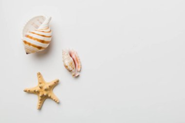 Yaz zamanı konsepti düz kompozisyon ile güzel deniz yıldızları ve deniz kabukları renkli tablo üzerinde yatıyordu, metin için metin alanı ile üst görünüm.