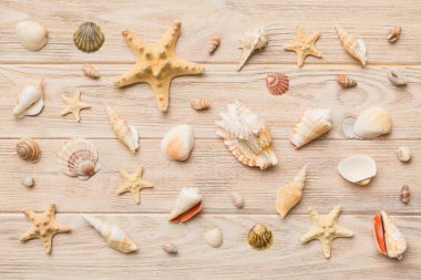 Yaz mevsimi konsepti deniz yıldızları ve deniz kabukları ile bezenmiş düz bir kompozisyon, renkli masa, üst görünüm.