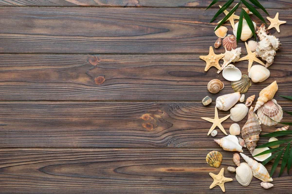 Concepto Hora Verano Composición Plana Con Hermosas Estrellas Mar Conchas —  Fotos de Stock