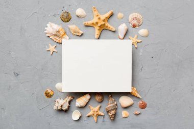 Yaz mevsimi konsepti, boş tebrik kartı ve renkli arkaplan üzerine boş beyaz kağıt. Çerçeve şeklinde deniz kabukları metin üstü görünümü için boşluk ile ayrılmış.