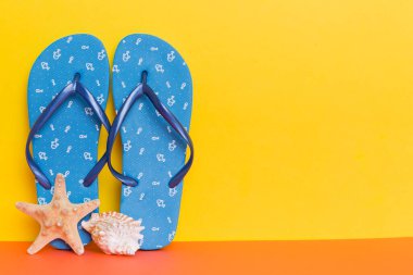 Plaj aksesuarları. Renkli arka planda parmak arası terlik ve denizyıldızı. Kopyalama alanı kullan.