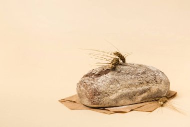 Ev yapımı doğal ekmek. Arkaplan olarak taze ekmeğin farklı türleri, kopya alanı ile perspektif.