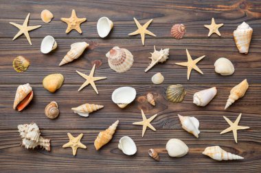 Yaz mevsimi konsepti deniz yıldızları ve deniz kabukları ile bezenmiş düz bir kompozisyon, renkli masa, üst görünüm.