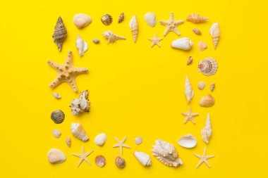 Renkli arka planda yaz zamanı konsepti. Çerçeve şeklinde deniz kabukları metin üstü görünümü için boşluk ile ayrılmış.