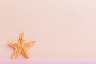 Renkli arka planda plaj deniz kabukları. Kopyalama alanı kullan.