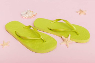 Plaj aksesuarları. Renkli arka planda parmak arası terlik ve denizyıldızı. Üst görünüm Kopyalama alanı ile modelle.