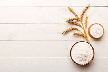 Tahta kasede buğday unu ve renkli arka planda buğday dikenleri. dünya buğday krizi.