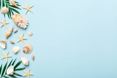 Yaz zamanı konsepti düz kompozisyon ile güzel deniz yıldızları ve deniz kabukları renkli tablo üzerinde yatıyordu, metin için metin alanı ile üst görünüm.