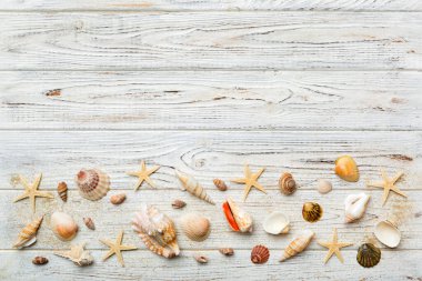 Yaz zamanı konsepti düz kompozisyon ile güzel deniz yıldızları ve deniz kabukları renkli tablo üzerinde yatıyordu, metin için metin alanı ile üst görünüm.