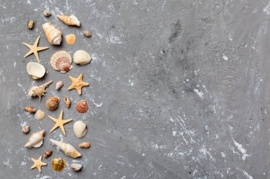 Yaz zamanı konsepti düz kompozisyon ile güzel deniz yıldızları ve deniz kabukları renkli tablo üzerinde yatıyordu, metin için metin alanı ile üst görünüm.