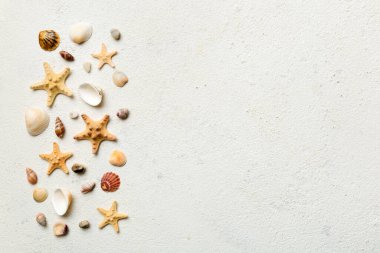 Yaz zamanı konsepti düz kompozisyon ile güzel deniz yıldızları ve deniz kabukları renkli tablo üzerinde yatıyordu, metin için metin alanı ile üst görünüm.