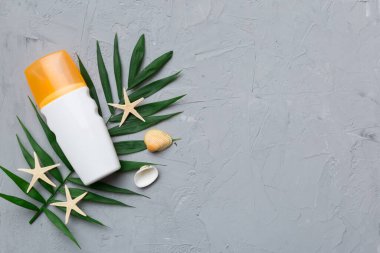 Güneş kremi şişesi. Güneş korumalı krem ve tropik yeşil yapraklı deniz kabukları olan bir şişe..