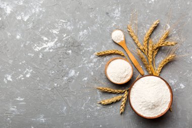 Tahta kasede buğday unu ve renkli arka planda buğday dikenleri. dünya buğday krizi.