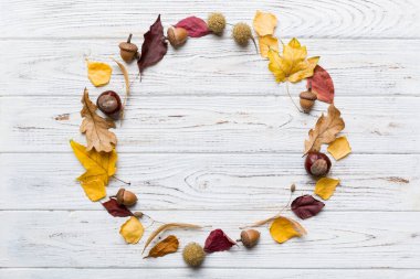 Masadaki kurumuş yapraklar, koniler ve meşe palamutlarından oluşan sonbahar kompozisyonu. Düz yatış, üst görünüm.