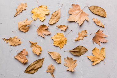 Sonbahar kompozisyonu. Masadaki kurumuş yapraklar ve diğer tasarım aksesuarlarından oluşan desen. Düz yatış, üst görünüm.