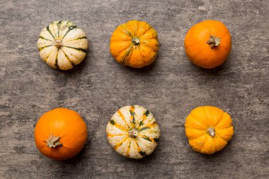 Renkli masa arkasında küçük turuncu balkabaklarının sonbahar kompozisyonu. Sonbahar, Cadılar Bayramı ve Şükran Günü konsepti. Sonbahar düz fotoğraf çekimi. Üst görünüm vith kopyalama alanı.