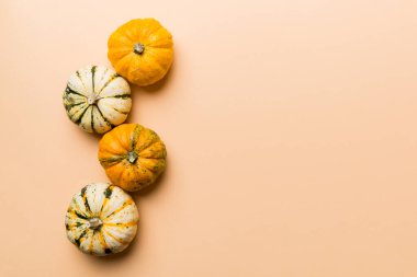 Renkli masa arkasında küçük turuncu balkabaklarının sonbahar kompozisyonu. Sonbahar, Cadılar Bayramı ve Şükran Günü konsepti. Sonbahar düz fotoğraf çekimi. Üst görünüm vith kopyalama alanı.