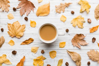 Sonbahar yapraklı bir fincan kakao soyut natürmort yaşam üst görünüm kopyalama alanı.