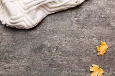 Sonbahar kompozisyonu. Süveter, ekose, arka planda sonbahar yaprakları. Düz konum, üst görünüm, kopyalama alanı.