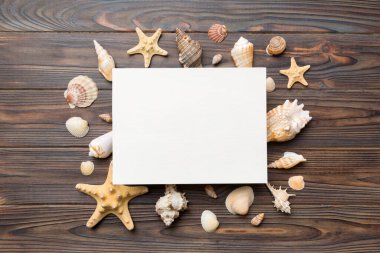 Yaz mevsimi konsepti, boş tebrik kartı ve renkli arkaplan üzerine boş beyaz kağıt. Çerçeve şeklinde deniz kabukları metin üstü görünümü için boşluk ile ayrılmış.