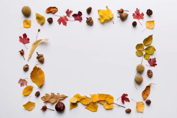秋天的构图是用干叶 球果和橡果制成的 平躺在地上 俯瞰四周 — 图库照片