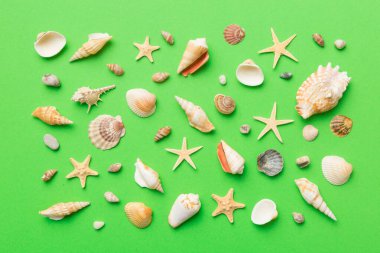 Yaz mevsimi konsepti deniz yıldızları ve deniz kabukları ile bezenmiş düz bir kompozisyon, renkli masa, üst görünüm.