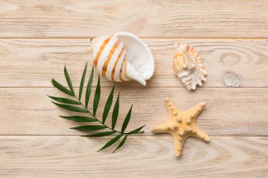 Yaz mevsimi konsepti deniz yıldızları ve deniz kabukları ile bezenmiş düz bir kompozisyon, renkli masa, üst görünüm.