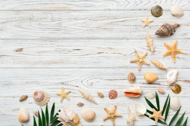 Yaz zamanı konsepti düz kompozisyon ile güzel deniz yıldızları ve deniz kabukları renkli tablo üzerinde yatıyordu, metin için metin alanı ile üst görünüm.